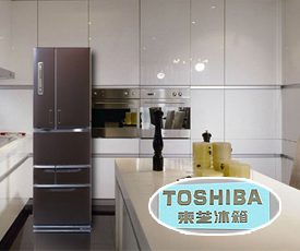 Toshiba Electric